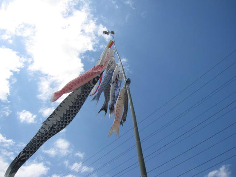 koinobori4